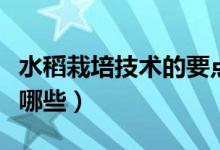 水稻栽培技术的要点（水稻栽培技术的要点有哪些）