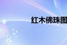 红木佛珠图片（红木佛珠）