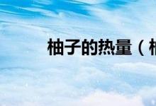 柚子的热量（柚子的热量是多少）