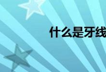 什么是牙线（牙线是什么）