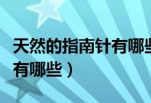 天然的指南针有哪些（大自然中天然的指南针有哪些）