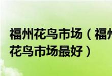 福州花鸟市场（福州花鸟市场在哪里福州哪个花鸟市场最好）