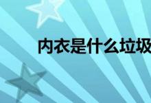 内衣是什么垃圾（内衣是什么垃圾）