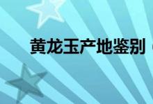 黄龙玉产地鉴别（黄龙玉产地在哪里）