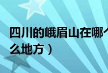 四川的峨眉山在哪个位置啊（四川峨眉山在什么地方）