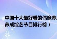 中国十大最好看的偶像养成节目（偶像养成节目有哪些偶像养成综艺节目排行榜）