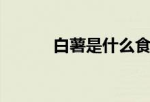 白薯是什么食物（白薯是什么）