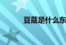 豆蔻是什么东西（豆蔻是什么）