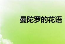 曼陀罗的花语（曼陀罗花的寓意）