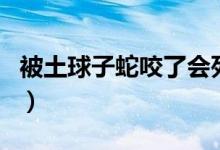 被土球子蛇咬了会死吗（土球子蛇的毒性大吗）