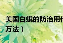 美国白蛾的防治用什么农药（美国白蛾的防治方法）