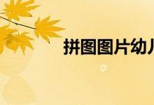 拼图图片幼儿园（拼图图片）