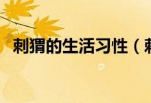 刺猬的生活习性（刺猬的生活习性是什么）
