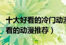 十大好看的冷门动漫（冷门动漫神作冷门但好看的动漫推荐）