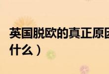 英国脱欧的真正原因（英国脱欧的真正原因是什么）