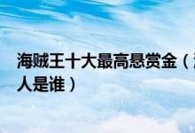 海贼王十大最高悬赏金（海贼王悬赏排名海贼王赏金最高的人是谁）