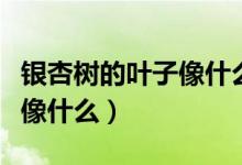 银杏树的叶子像什么什么（银杏树的叶子具体像什么）