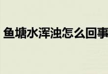 鱼塘水浑浊怎么回事（鱼塘水浑浊该怎么办）