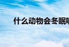 什么动物会冬眠呢（什么动物会冬眠）