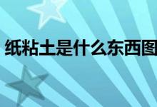 纸粘土是什么东西图片（纸粘土是什么东西）