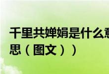 千里共婵娟是什么意思（千里共婵娟是什么意思（图文））