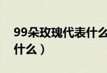99朵玫瑰代表什么意思（香槟玫瑰的花语是什么）