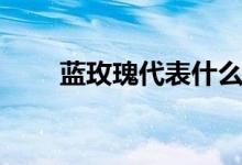 蓝玫瑰代表什么意思（蓝玫瑰花语）