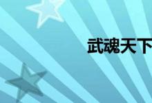 武魂天下（武魂天下）