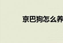 京巴狗怎么养（京巴狗有几种）
