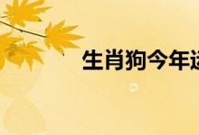 生肖狗今年运气（生肖外传）