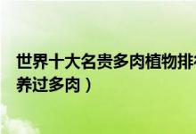 世界十大名贵多肉植物排行榜（最贵价格超十万你还敢说你养过多肉）