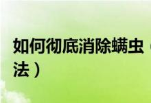 如何彻底消除螨虫（螨虫怎么治去除螨虫的办法）