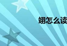 翊怎么读（翊怎么读）