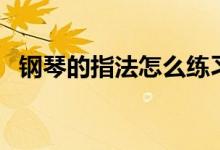 钢琴的指法怎么练习（钢琴的指法怎么练）