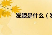 发膜是什么（发膜是什么怎么用）