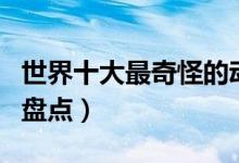 世界十大最奇怪的动物（地球上最怪异的动物盘点）