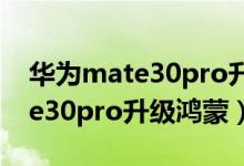 华为mate30pro升级鸿蒙掉电快（华为mate30pro升级鸿蒙）