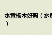 水黄杨木好吗（水黄杨木与黄杨木区别有什么）