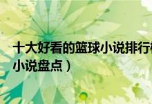 十大好看的篮球小说排行榜（篮球竞技类小说推荐热门篮球小说盘点）