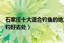 石家庄十大适合钓鱼的地方（哪个水库钓鱼好石家庄免费野钓好去处）