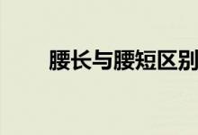 腰长与腰短区别（腰长与腰短区别）