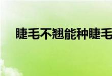 睫毛不翘能种睫毛吗（睫毛不翘怎么办）