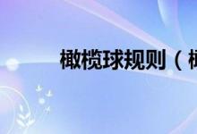 橄榄球规则（橄榄球有什么规则）