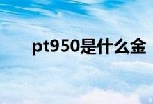 pt950是什么金（pt950属于什么金）