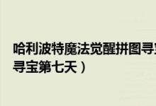 哈利波特魔法觉醒拼图寻宝第七篇（哈利波特魔法觉醒拼图寻宝第七天）