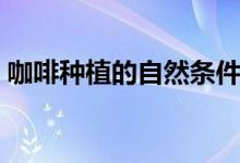 咖啡种植的自然条件（咖啡种植的自然条件）