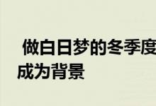  做白日梦的冬季度假让这些温暖 质朴的房屋成为背景 