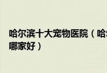 哈尔滨十大宠物医院（哈尔滨宠物医院排名哈尔滨动物医院哪家好）