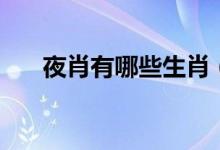 夜肖有哪些生肖（夜肖是哪几个生肖）