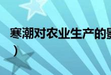 寒潮对农业生产的影响（寒潮对于农业的影响）